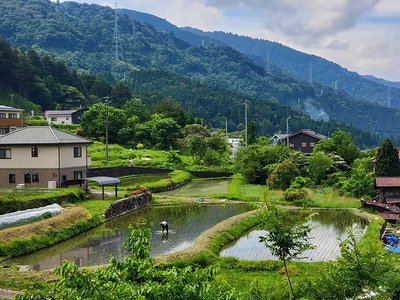 🏞️ 네가와 녹도(네가와료쿠도) 이미지 2